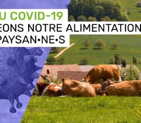 Covid19, agriculture et réforme de la PAC : Claude Gruffat et Benoît Biteau écrivent à Didier Guillaume