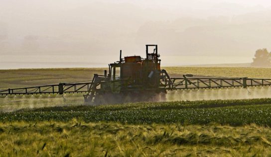 L’alternative bio aux pesticides chimiques existe, elle n’attend plus que le soutien politique