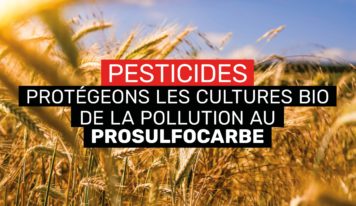 Prosulfocarbe : je saisis la Commission européenne au sujet de ce pesticide qui ruine le travail des paysan.ne.s bio