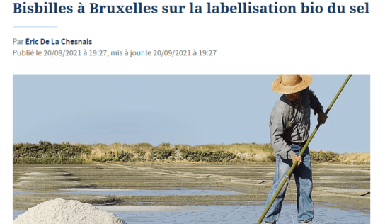 Bisbilles à Bruxelles sur la labellisation bio du sel