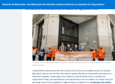 France Bleu / Abattoir de Blancafort : les défenseurs du bien être animal s’invitent au ministère de l’Agriculture