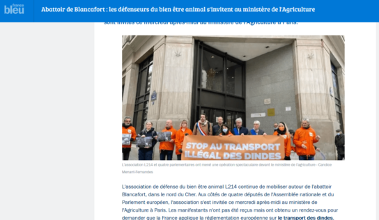 France Bleu / Abattoir de Blancafort : les défenseurs du bien être animal s’invitent au ministère de l’Agriculture