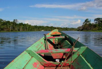 Peuples autochtones, biodiversité, Mercosur… mon déplacement au Brésil