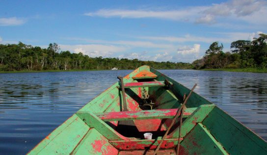 Peuples autochtones, biodiversité, Mercosur… mon déplacement au Brésil